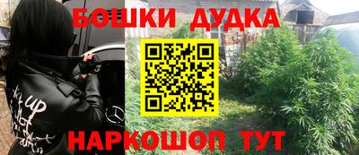 шишки Кинель