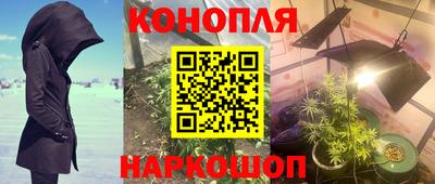 шишки Кинель